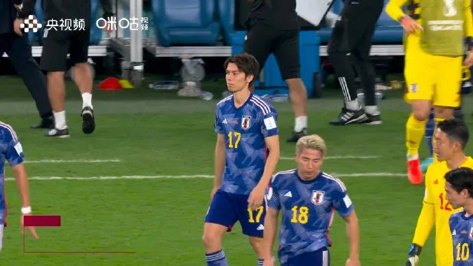 卡塔爾世界杯專用足球__卡塔爾世界杯足球場事故